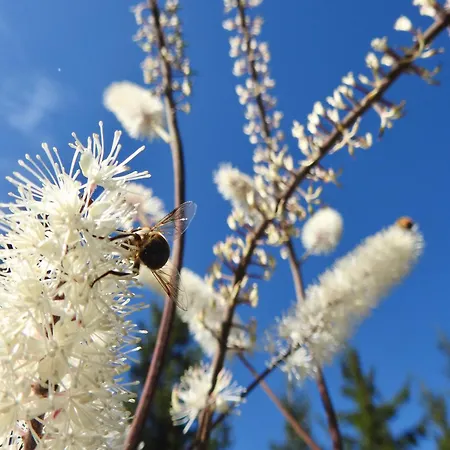 Urige Kuschelhuetten Oberprenner Dom wakacyjny *