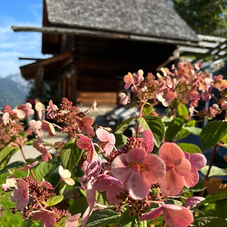 Urige Kuschelhuetten Oberprenner Dom wakacyjny Haus im Ennstal
