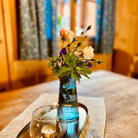 Dom wakacyjny Urige Kuschelhuetten Oberprenner Haus im Ennstal