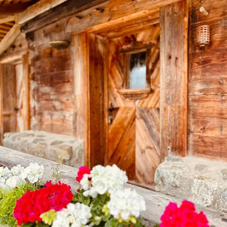 Dom wakacyjny Urige Kuschelhuetten Oberprenner Haus im Ennstal