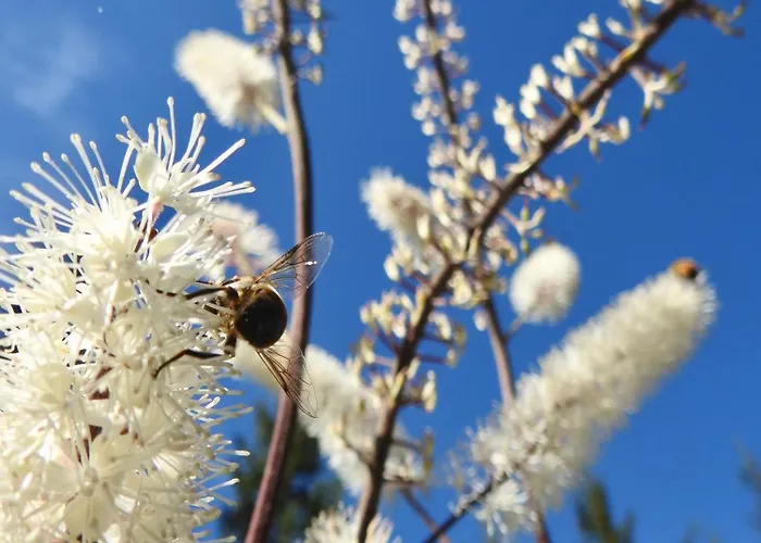 Urige Kuschelhuetten Oberprenner בית נופש *