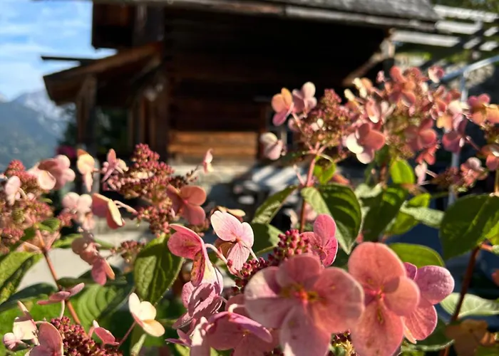 Urige Kuschelhuetten Oberprenner בית נופש האוס